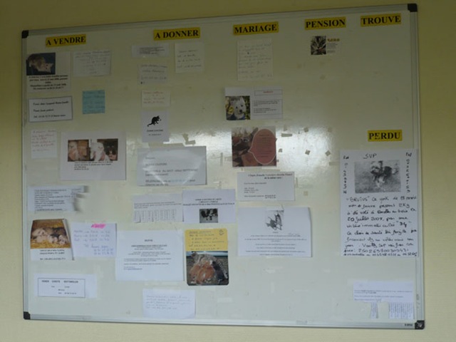 [P1010486[2].jpg]