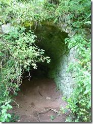 P1010505