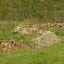 Anne Tanne's Native garden