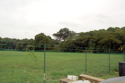 Changi Padang