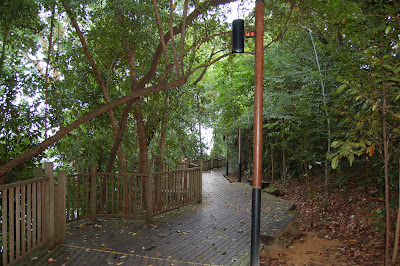 Boardwalk shaded area
