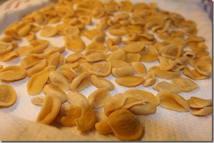 orecchiette-1