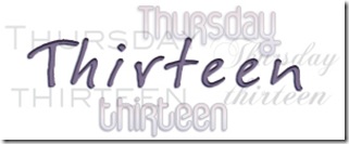 thursdaythirteen300