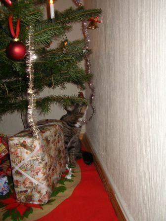 [0312.jpg]