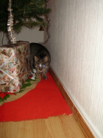 [0322.jpg]