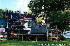 American Leigon 043