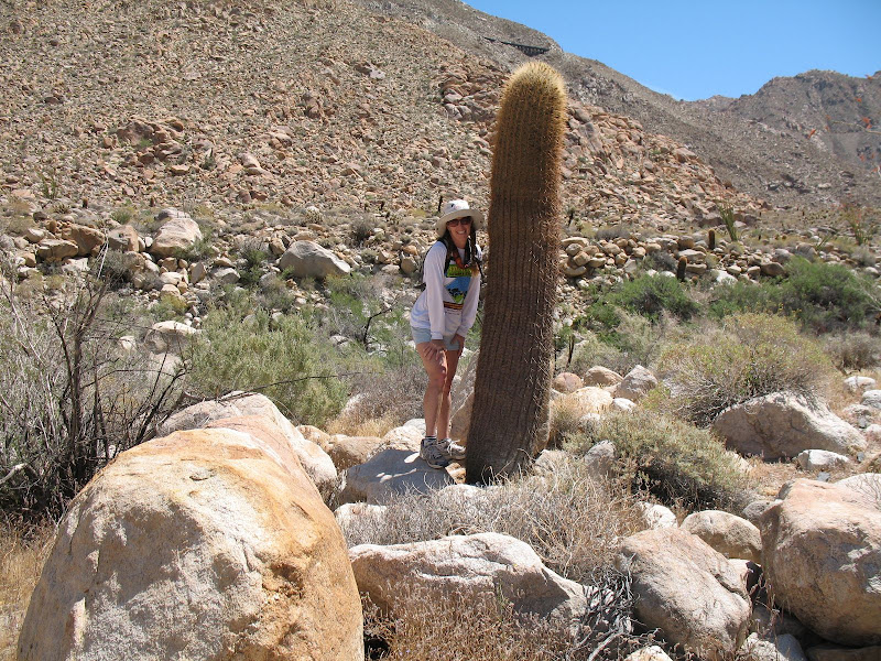 Mary in Carrizo Gorge with barrel cactus Anza Borrego
