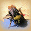 Bumble Bee