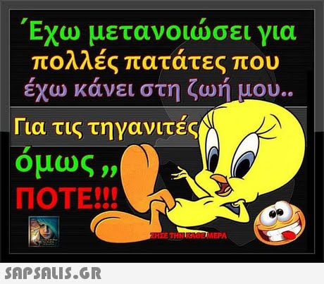 Εχω μετανοιώσει για πολλές πατάτες που έχω κάνει στη ζωή μου .. Για τις τηγανιτές όμως ,, ΠΟΤΕ!! 