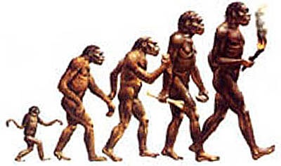 evolucion