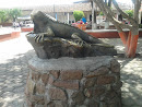 Iguana En Piedra