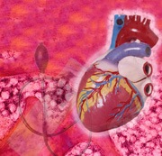 [Hypertension23.jpg]