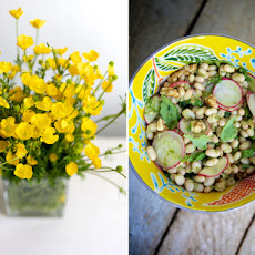 White Bean Salad with Radish, Capers, Walnuts & Ramp Pesto