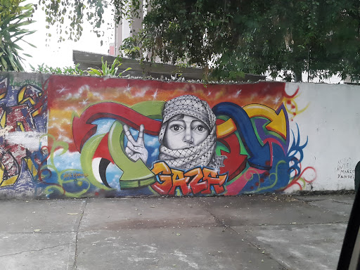 Mural Mujer De Gaza