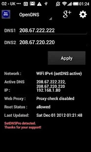 Set DNS Screenshot