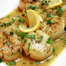Seared Scallops with Tarragon-Butter Sauce