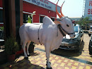 Kauveri Cow Statue