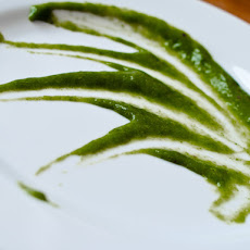 Cilantro Coulis
