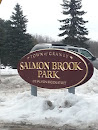 Salmon Brook Park