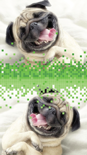 How to get Fetch Doggy Sounds 1.0 apk for pc