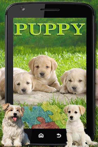 Puppy Jigsaw Puzzle