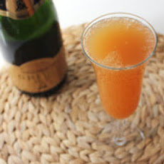 The Bitter Mimosa