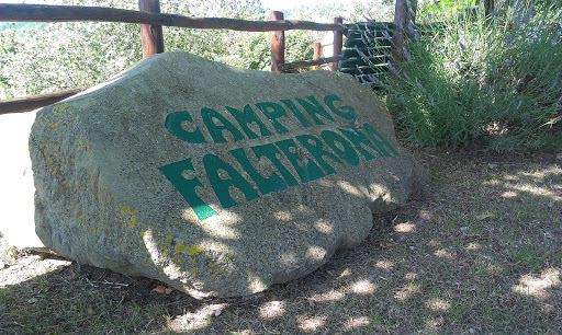 Il Sasso Del Camping Falterona