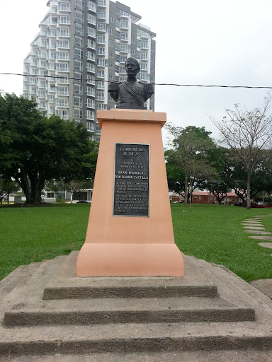 Estatua Raul Haya De La Torre