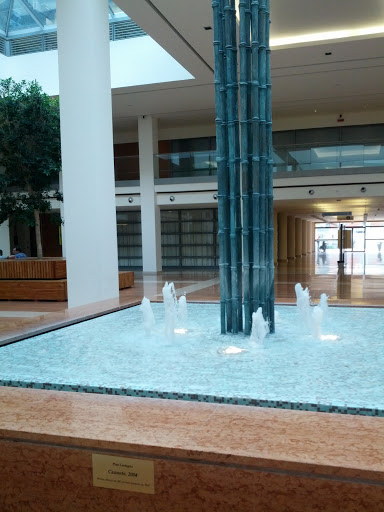 Fontana Ospedale
