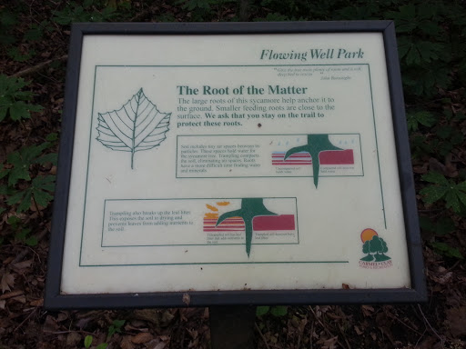 Flowing Well Park: The Root of the Matter