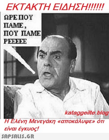 ΩΡΕ ΠΟΥ ILAME ΠΟΥ ΠΑΜΕ kataggeilte blog Ελένη Μενεγάκη «αποκάλυψε»on είναι έγκυος! 