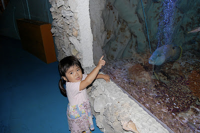 お魚