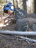 McKenzie River Trail