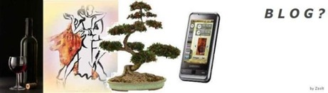 blogfejlécszöveggelwidth768