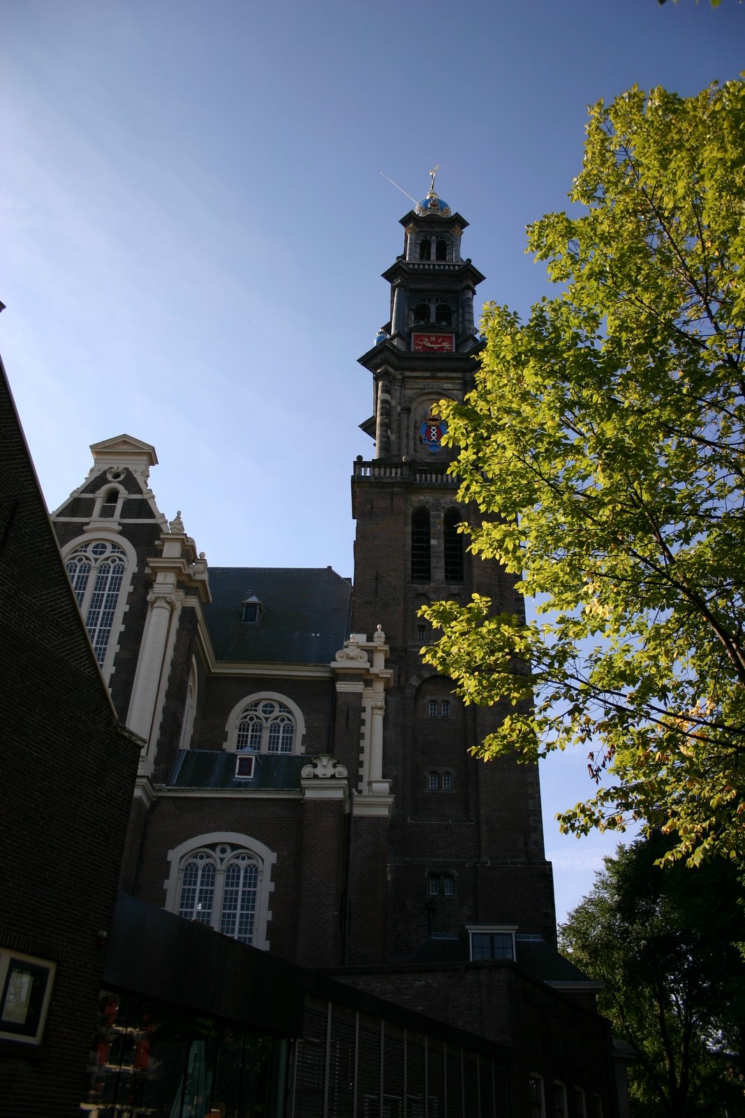 [IMG_7012[10].jpg]
