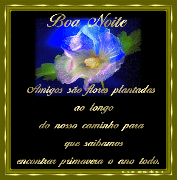 http://lh3.ggpht.com/bargorete/SC3wE-GObUI/AAAAAAAADrc/Z_qmacBcqzk/s800/boa+noite05.gif