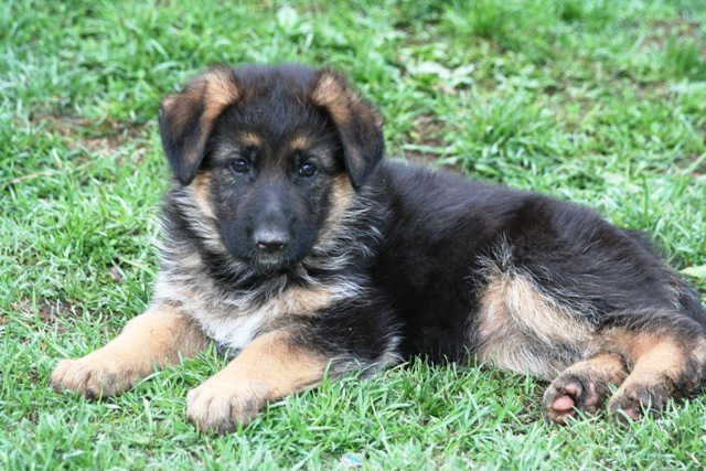 [izzy[7].jpg]