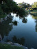 Haikú en un reflejo Haikú en un reflejo