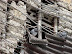 Palomas engarzadas Palomas engarzadas