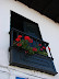 Rojo entreverado Rojo entreverado