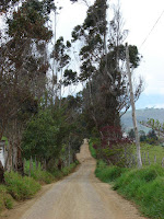 La mesa de Los Santos La mesa de Los Santos