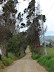 La mesa de Los Santos La mesa de Los Santos