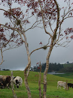 La mesa de Los Santos