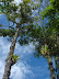 Un bello día para ir a termales Un bello día para ir a termales