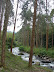 Camino a los termales Camino a los termales