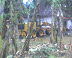 traktor-ngungsi.jpg