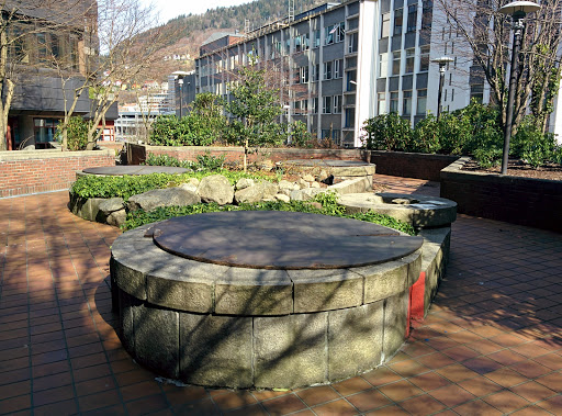 Urban Fountain Garden
