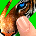 Scratch: Guess animal Apk