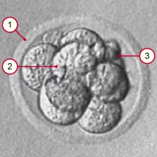 F375998C-5397-4F92-A464-E7563779F6B3.jpg