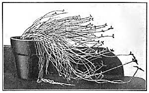 B97086E4-3059-4FD6-8832-765A22874E62.jpg